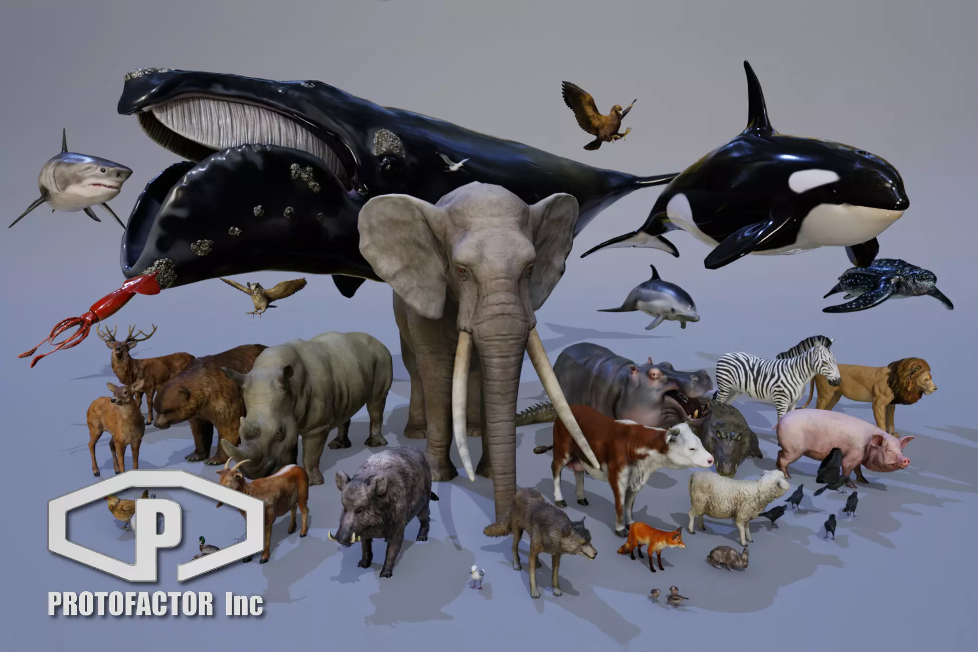 ANIMALS FULL PACK - Unity Free Download